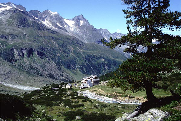 schoenb_horn_07