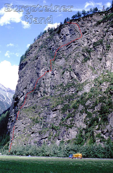 luibiskogl_29