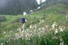 luibiskogl_06