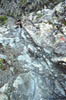 luibiskogl_18