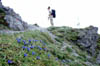 luibiskogl_19