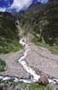 luibiskogl_26
