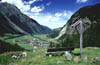 luibiskogl_28
