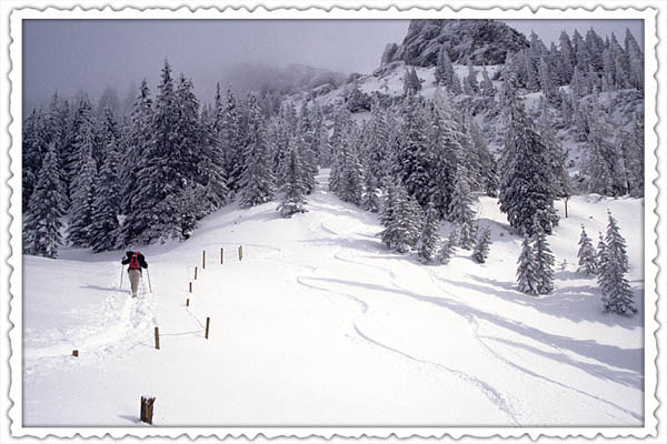 vorderkaserfelden_10