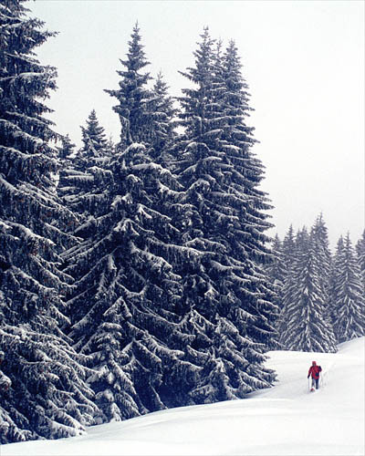 wandberg_01_07