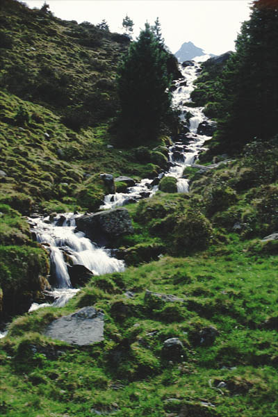 zischgeles_15