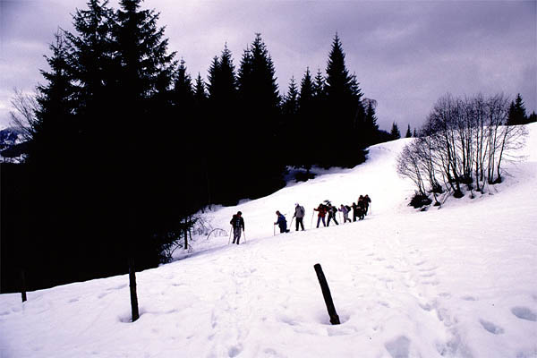 schleierfaelle_01_03