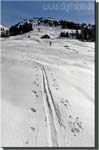 160227_kitzbueheler_007