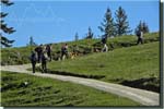 160505_farrenpoint_012