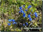 160505_farrenpoint_015