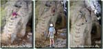 160816_burrone_034