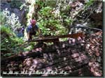 160816_burrone_086