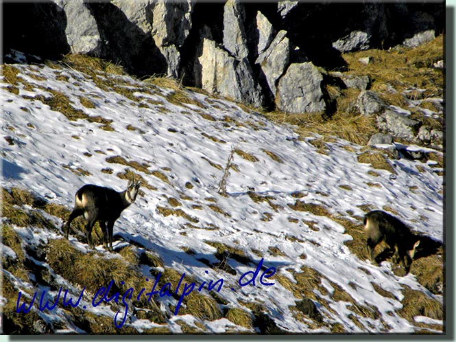 161205_Lacherspitze_032