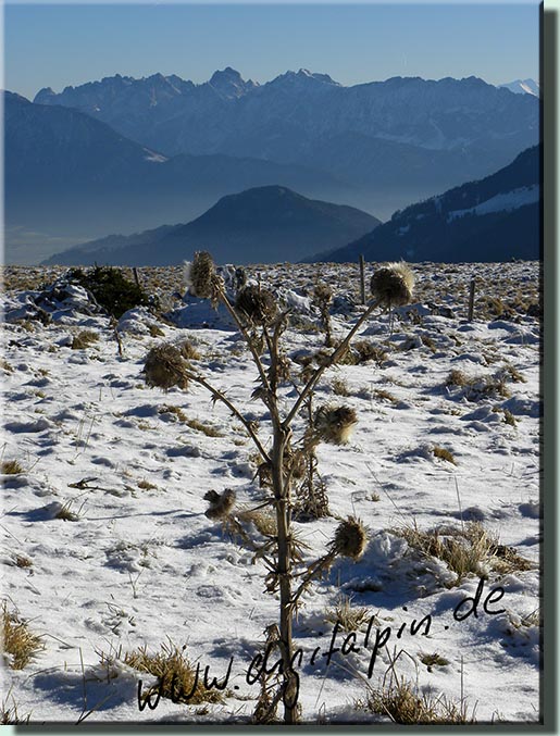 161205_Lacherspitze_057