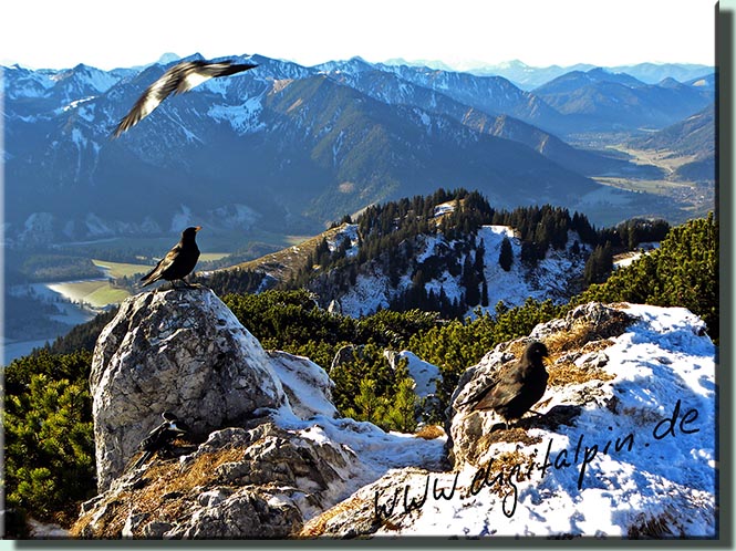 161205_Lacherspitze_092