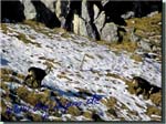 161205_Lacherspitze_032