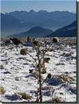 161205_Lacherspitze_057