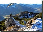 161205_Lacherspitze_092